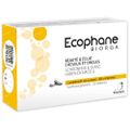 Ecophane Biorga 60 comprimés