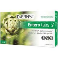 Dr Ernst Enterotabs 42 tabletten