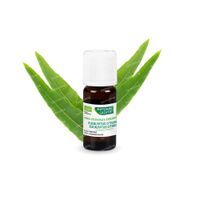 Phytosun Eucalyptus Citronne Huile Essentielle Bio 10 ml