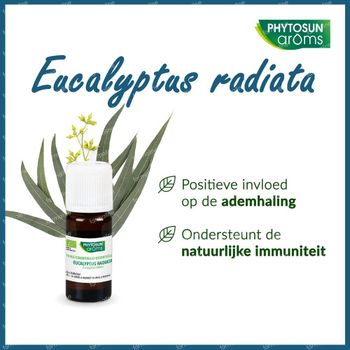 Phytosun Eucalyptus Radiata Essentiële Olie Bio 10 ml