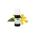 Phytosun Ylang-Ylang Huile Essentielle Bio 5 ml