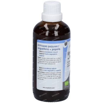 Physalis® Echinacea + Propolis Gouttes de Plantes Bio 100 ml