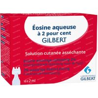 Gilbert Eosine Solution Aqueuse 2% Sterile 20 ml