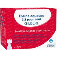 Gilbert Eosine Waterige Oplossing 2% Steriel 20 ml