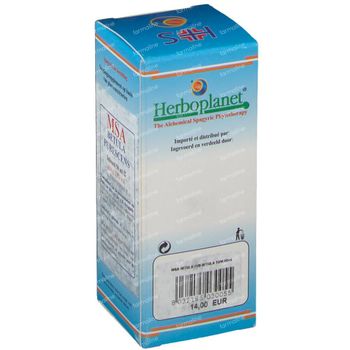 Betula Pubescens MSA Macérat 50 ml gouttes