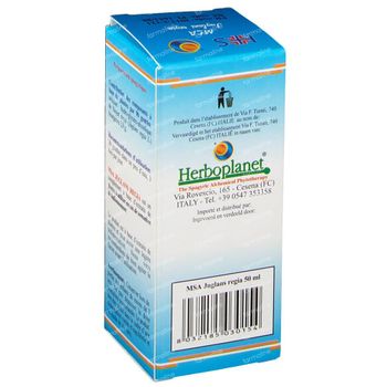 Juglans Regia MSA Macérat 50 ml gouttes