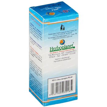 Olea Europaea MSA Macérat 50 ml gouttes