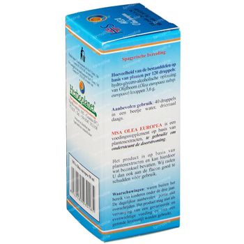 Olea Europaea MSA Macérat 50 ml gouttes