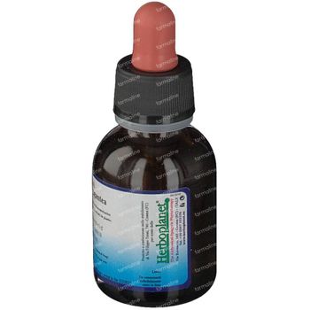 Sequoia Gigantea MSA Macérat 50 ml gouttes