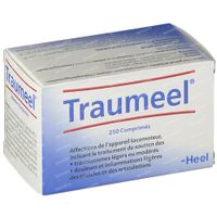 Heel Traumeel® Tabletten 250 tabletten