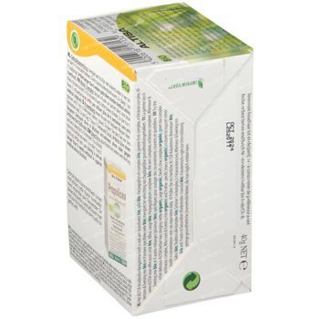 Altisa® Thé Voies Respiratoires Bio 20x2 g