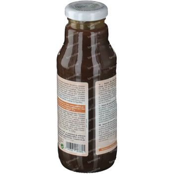 Biotona Yacon Syrup Bio 300 ml