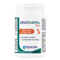 Ergycartil Flex 90 gélules souples