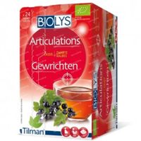 Biolys Zwarte Aalbes 24 zakjes
