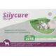 Silycure® 160 mg 2x15 comprimés