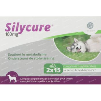 Silycure® 160 mg 2x15 tabletten