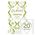 Pukka Herbs Thé Cleanse 20 pièces