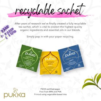 Pukka Herbs Thé Cleanse 20 pièces