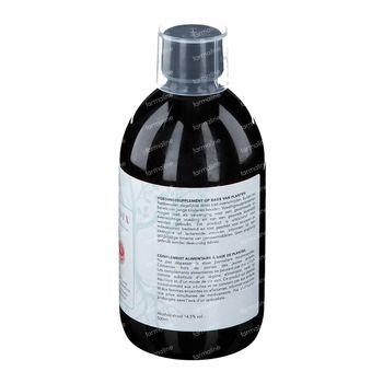 Bioradix Detox 3 500 ml