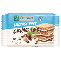 Damhert Lactose Free Crunchies 100 g