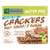 Damhert Glutenvrije Lactosevrije Crackers met Haver 230 g