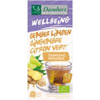 Damhert Wellbeing Thé Gingembre - Citron Vert Bio 35 g