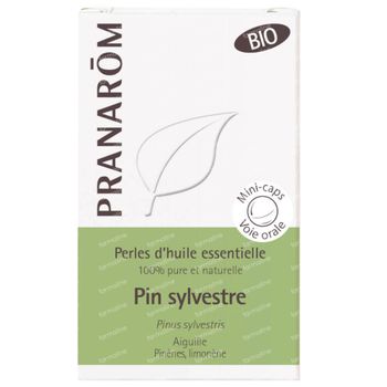 Pranarôm Aromaperles Pin Sylvestre Bio 60 perles