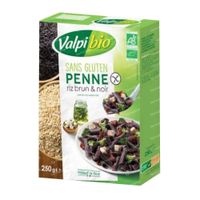 Valpi Bio Penne Bruine en Zwarte Rijst 250 g