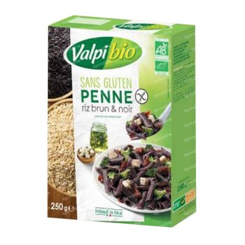 Valpi Bio Penne Riz Brun et Noir 250 g