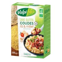 Valpi Bio Coudes Riz et Millet 250 g