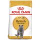 Royal Canin Feline British Shorthair 10 kg