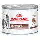 Royal Canin Veterinary Canine - Feline Recovery 12x195 g