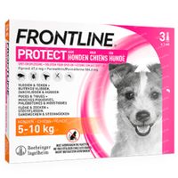 FRONTLINE Protect Spot On Vlooien en Teken Hond S 3 pipet(ten)