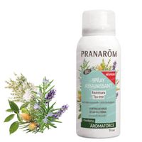Pranarôm Aromaforce Spray Assainissant Ravintsara-Tea Tree Bio 75 ml
