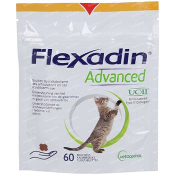 Flexadin Advanced Kat 60 stuks