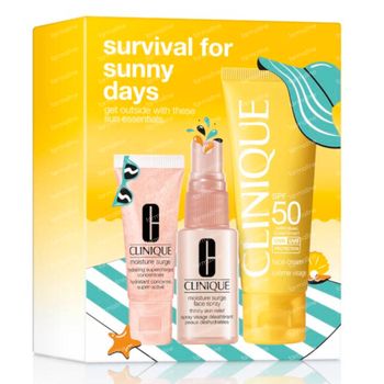 Clinique Survival for Sunny Days Gift Set 1 set