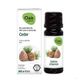 Oak Ceder Essentiële Olie Bio 10 ml