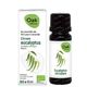 Oak Citroeneucalyptus Essentiële Olie Bio 10 ml