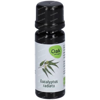 Oak Eucalyptus Radiata Essentiële Olie Bio 10 ml