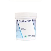 DeBa Pharma Choline-300 100 capsules