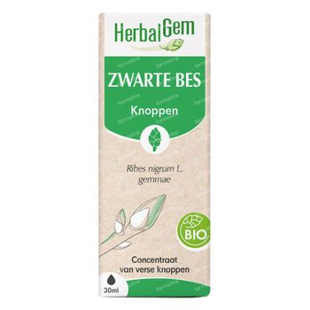 HerbalGem Zwarte Bes Bio 30 ml druppels