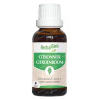 HerbalGem Citroenboom Bio 30 ml druppels