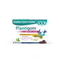 Plantigom® 24 pastille