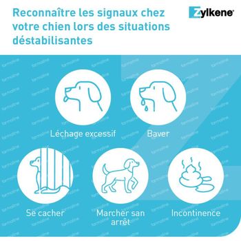 Zylkene® Petits Chiens <10kg 14 comprimés à croquer