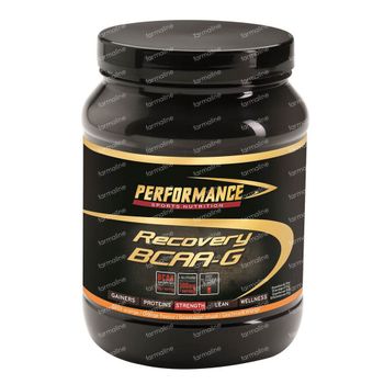 Performance Recovery BCAA-G 500 g poudre