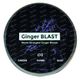 Ginger BLAST 04 Gingembre-Thym-Sauge 45 g