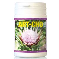 Art-Cho 60  capsules