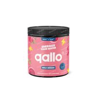 Qallo® Wild Berries 280 g poudre