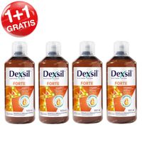 Dexsil® Forte DUO 1+1 GRATIS 4x1 l