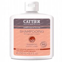 Cattier Shampooing Vinaigre de Romarin Cheveux Regraissant Vite Bio 250 ml